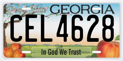 GA license plate CEL4628