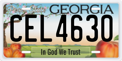 GA license plate CEL4630