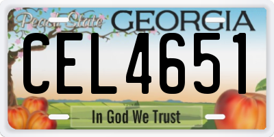 GA license plate CEL4651
