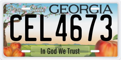 GA license plate CEL4673