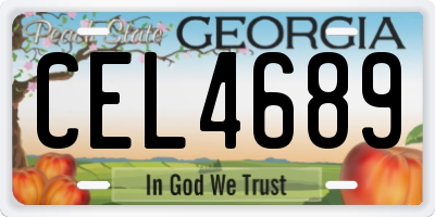 GA license plate CEL4689