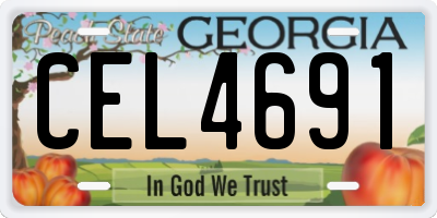 GA license plate CEL4691