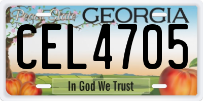 GA license plate CEL4705