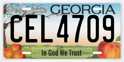 GA license plate CEL4709