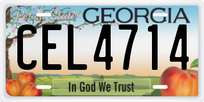 GA license plate CEL4714