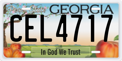 GA license plate CEL4717