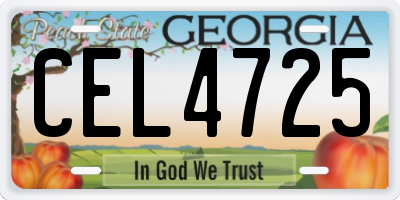 GA license plate CEL4725