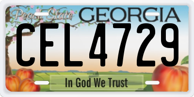 GA license plate CEL4729