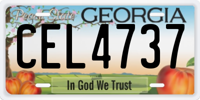 GA license plate CEL4737
