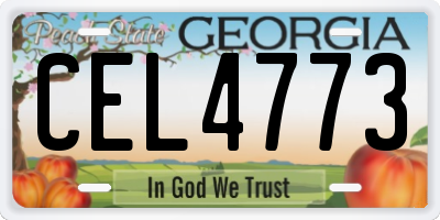 GA license plate CEL4773