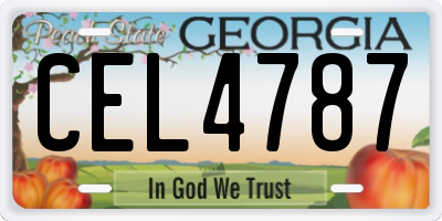 GA license plate CEL4787