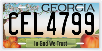 GA license plate CEL4799