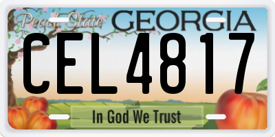 GA license plate CEL4817