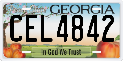 GA license plate CEL4842