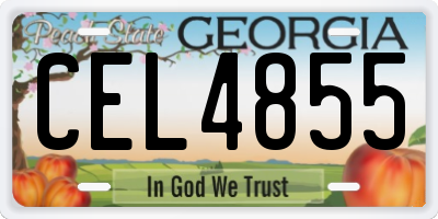 GA license plate CEL4855