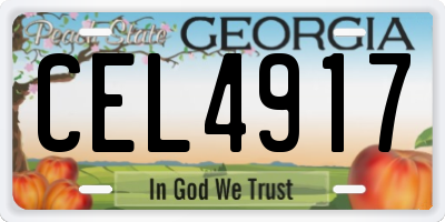 GA license plate CEL4917