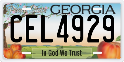 GA license plate CEL4929