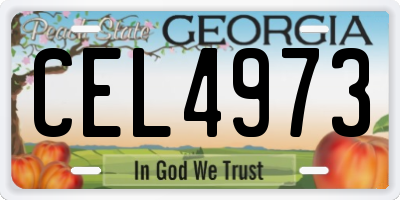GA license plate CEL4973