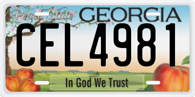 GA license plate CEL4981