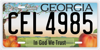 GA license plate CEL4985
