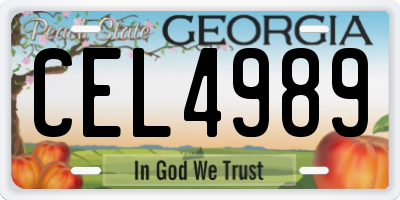 GA license plate CEL4989