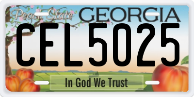 GA license plate CEL5025