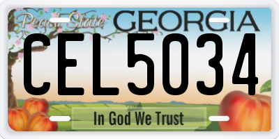 GA license plate CEL5034