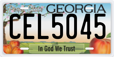 GA license plate CEL5045