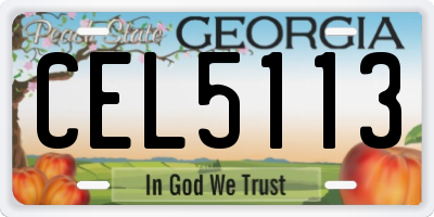 GA license plate CEL5113