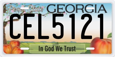 GA license plate CEL5121