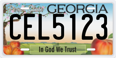 GA license plate CEL5123