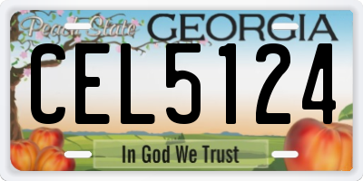 GA license plate CEL5124