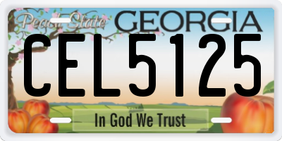 GA license plate CEL5125