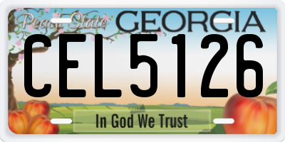 GA license plate CEL5126