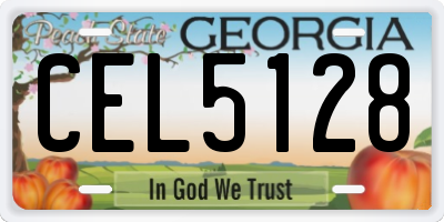 GA license plate CEL5128