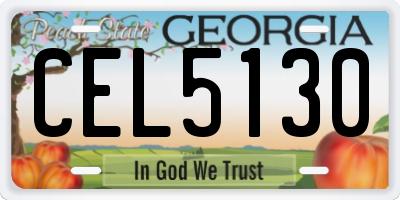 GA license plate CEL5130