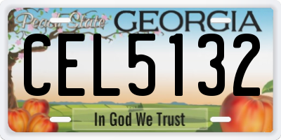 GA license plate CEL5132