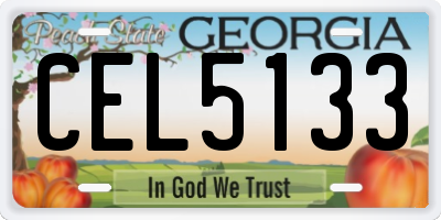 GA license plate CEL5133