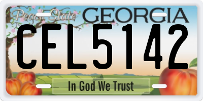 GA license plate CEL5142