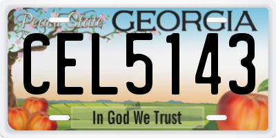 GA license plate CEL5143