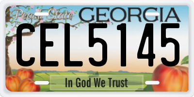 GA license plate CEL5145