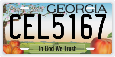 GA license plate CEL5167