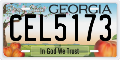 GA license plate CEL5173