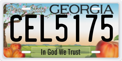 GA license plate CEL5175