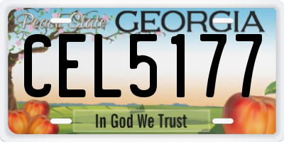 GA license plate CEL5177