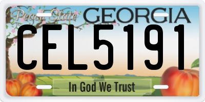 GA license plate CEL5191
