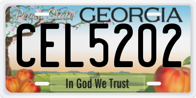 GA license plate CEL5202