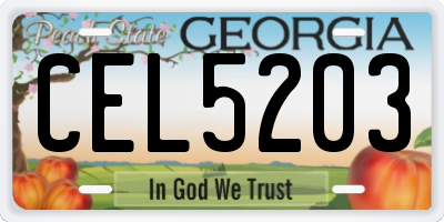 GA license plate CEL5203