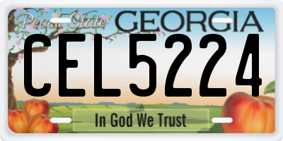 GA license plate CEL5224