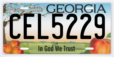 GA license plate CEL5229